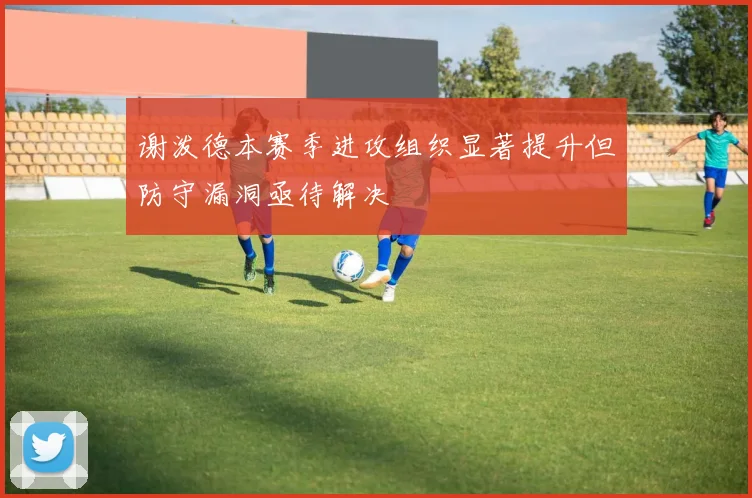 谢泼德本赛季进攻组织显著提升但防守漏洞亟待解决
