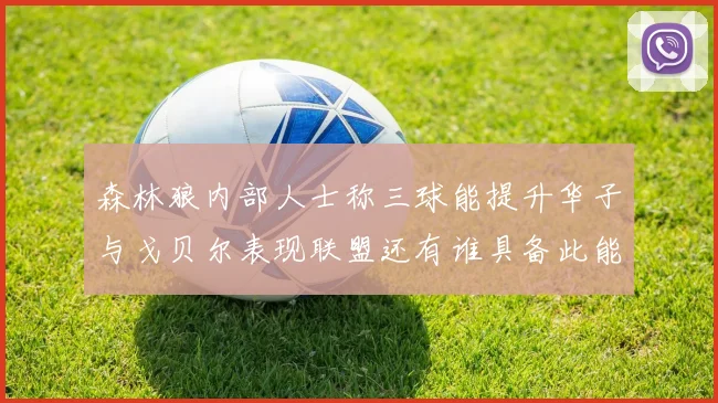 森林狼内部人士称三球能提升华子与戈贝尔表现联盟还有谁具备此能力