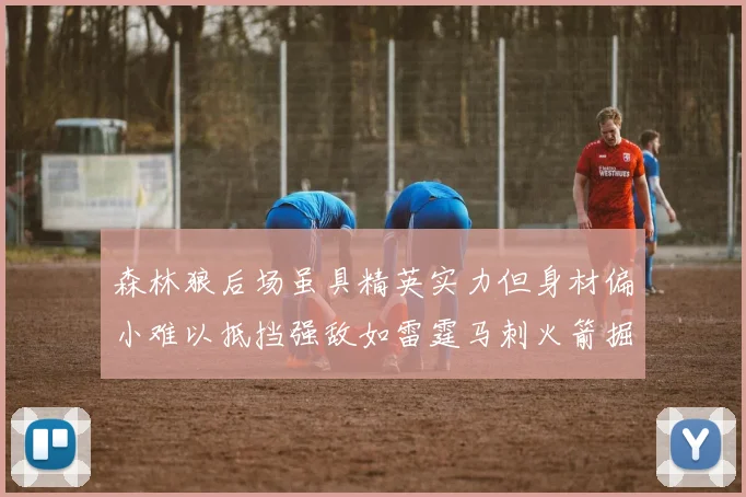 森林狼后场虽具精英实力但身材偏小难以抵挡强敌如雷霆马刺火箭掘金